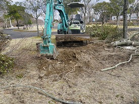 20160216-567.jpg