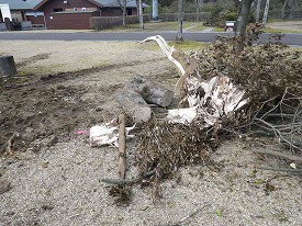 20160216-678.jpg