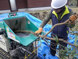 20160216-890.jpg