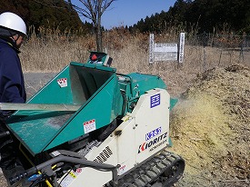 20160221-275.jpg