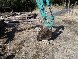 20160221-278.jpg