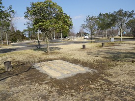 20160224-1004.jpg