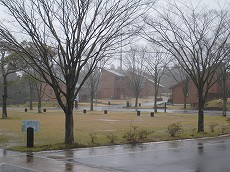 20160309-001.jpg
