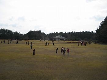20160316-IMG_0278.jpg