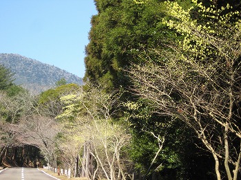 20160324-IMG_0286.jpg