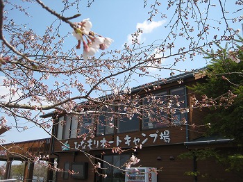 20160328-IMG_0288.jpg