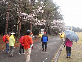 20160404-012.jpg