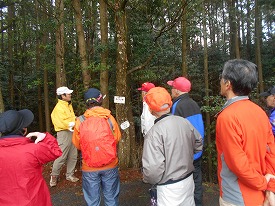 20160404-015.jpg