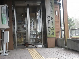 20160408-025.jpg