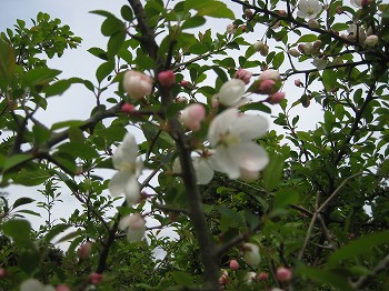 20160409-IMG_0325.jpg