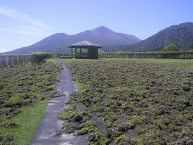 20160417-001.jpg