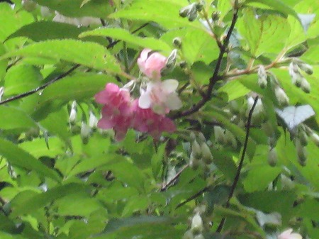 20160507-IMG_0434.jpg