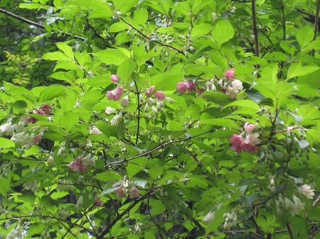 20160507-IMG_0435.jpg