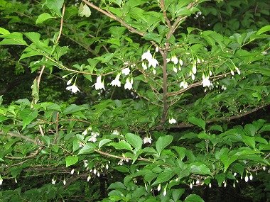 20160515-IMG_0451.jpg
