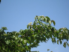 20160524-002.jpg