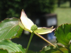 20160524-003.jpg