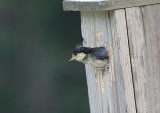 20160530-1.jpg