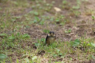 20160530-2.jpg