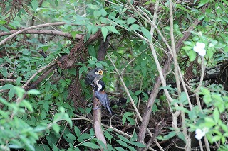 20160530-4.jpg