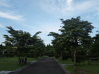 20160602-RIMG2987.jpg
