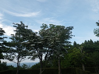 20160602-RIMG2988.jpg