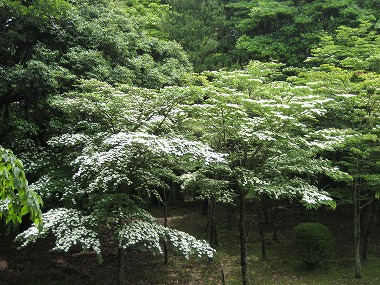 20160608-IMG_0505.jpg