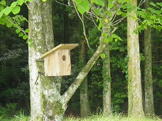 20160610-RIMG3009.jpg