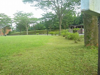20160614-RIMG3011.jpg