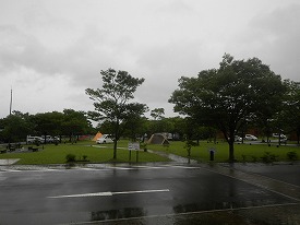 20160619-019.jpg