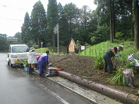 20160705-060.jpg