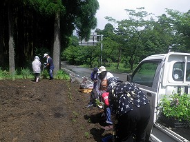 20160705-062.jpg