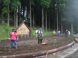20160705-063.jpg