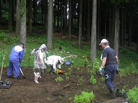 20160705-064.jpg