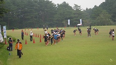 20160804-011.jpg