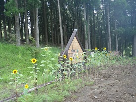20160806-168.jpg