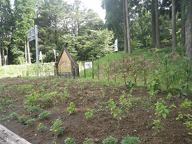 20160806-172.jpg