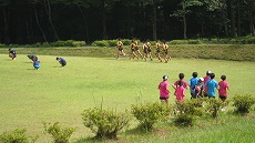 20160808-003.jpg