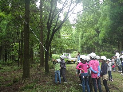 20160813-RIMG3273.jpg