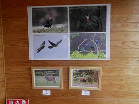 20160814-018.jpg
