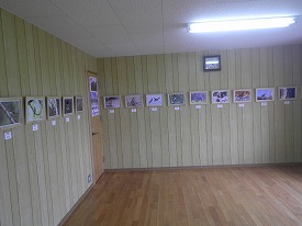 20160814-020.jpg