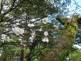 20161006-IMG_0745.jpg