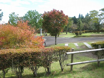 20161024-IMG_0798.jpg