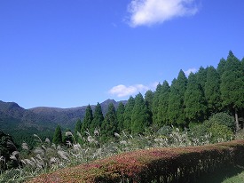 20161029-021.jpg