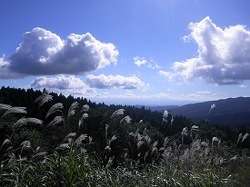 20161029-028.jpg