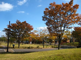 20161109-IMG_0825.jpg