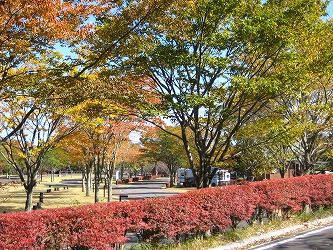20161109-IMG_0826.jpg