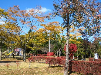 20161109-IMG_0827.jpg