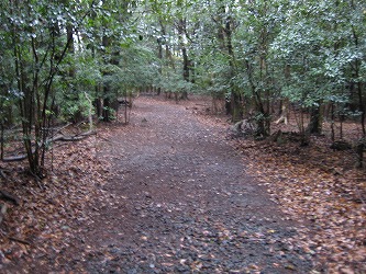 20161127-IMG_0867.jpg