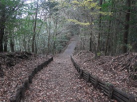 20161212-045.jpg