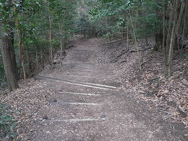 20161212-047.jpg